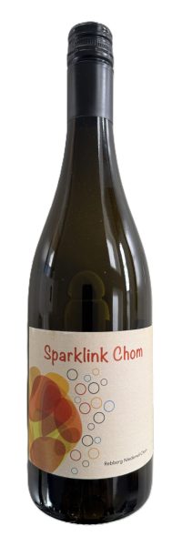 Sparklink Chom 2025_3